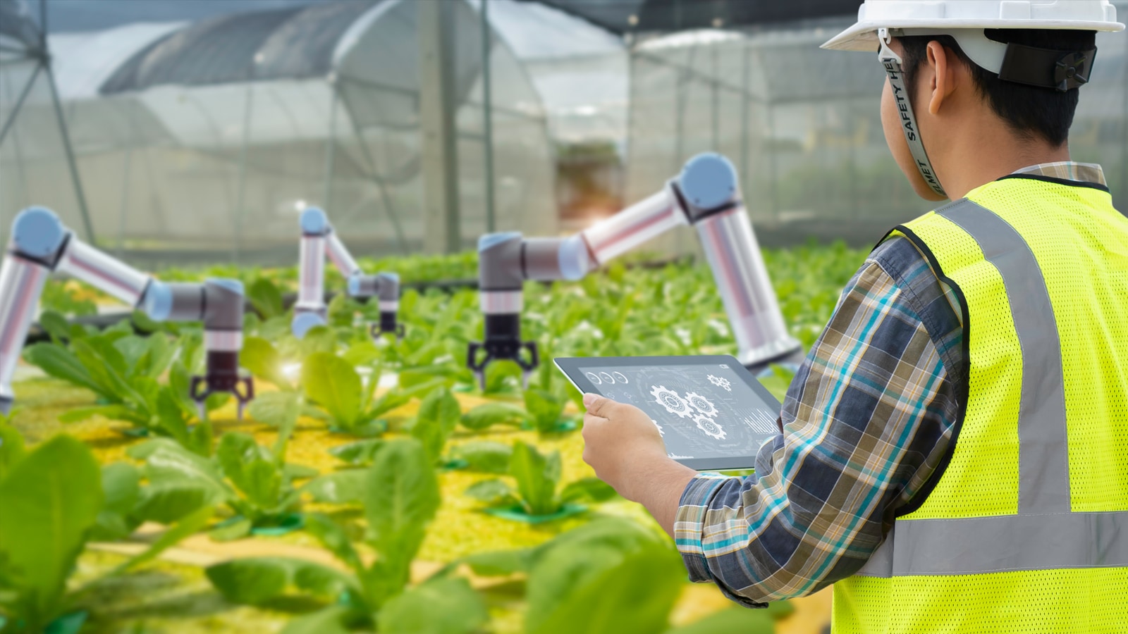Mercados de Tecnologia no Agro