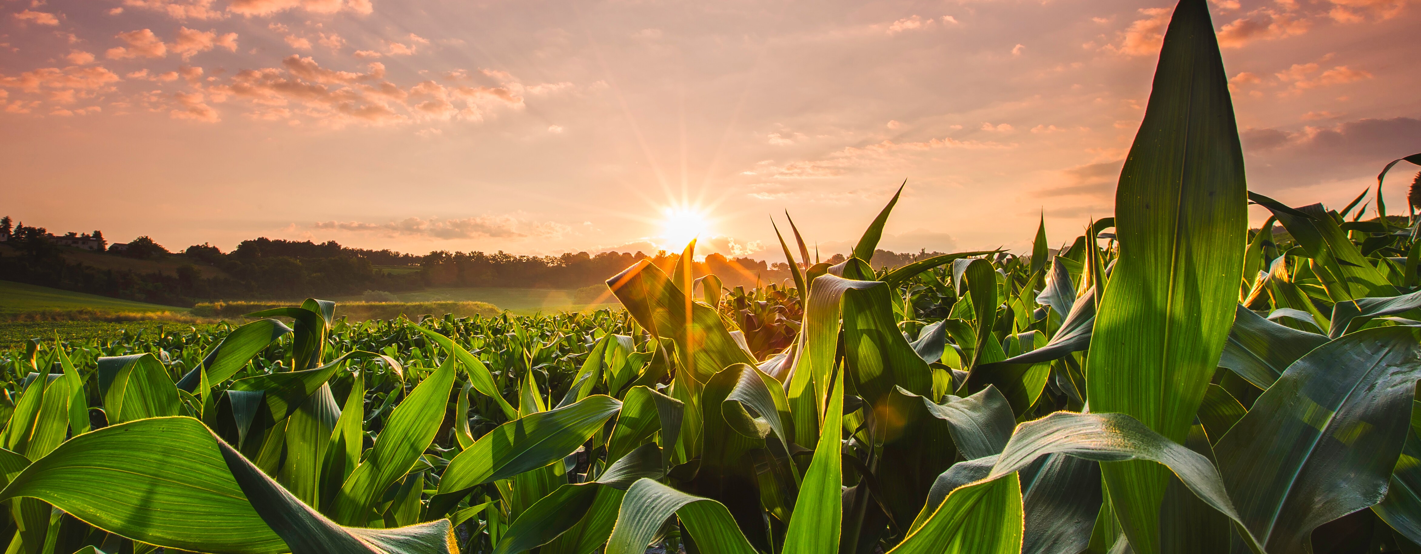 For Farmers