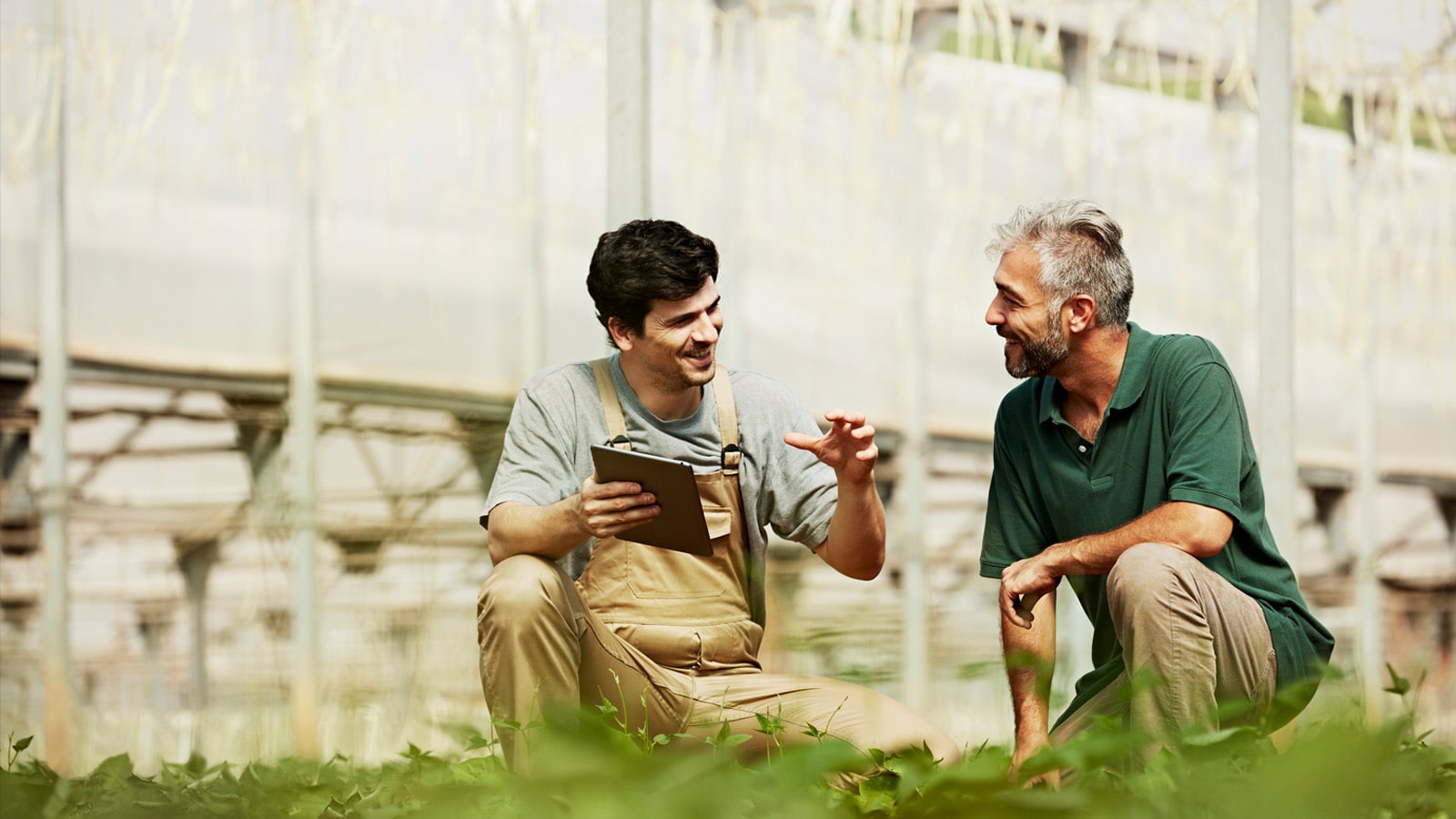 Community PwC Agtech Innovation