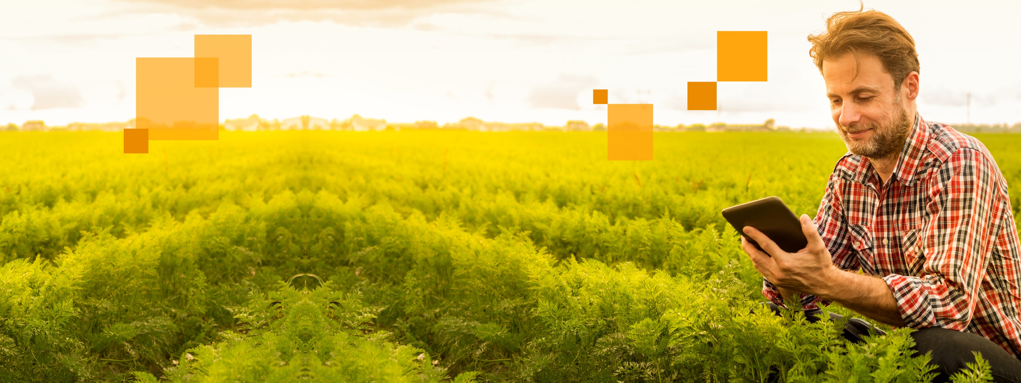 Destaques da Indústria do Agronegócio no Brasil
