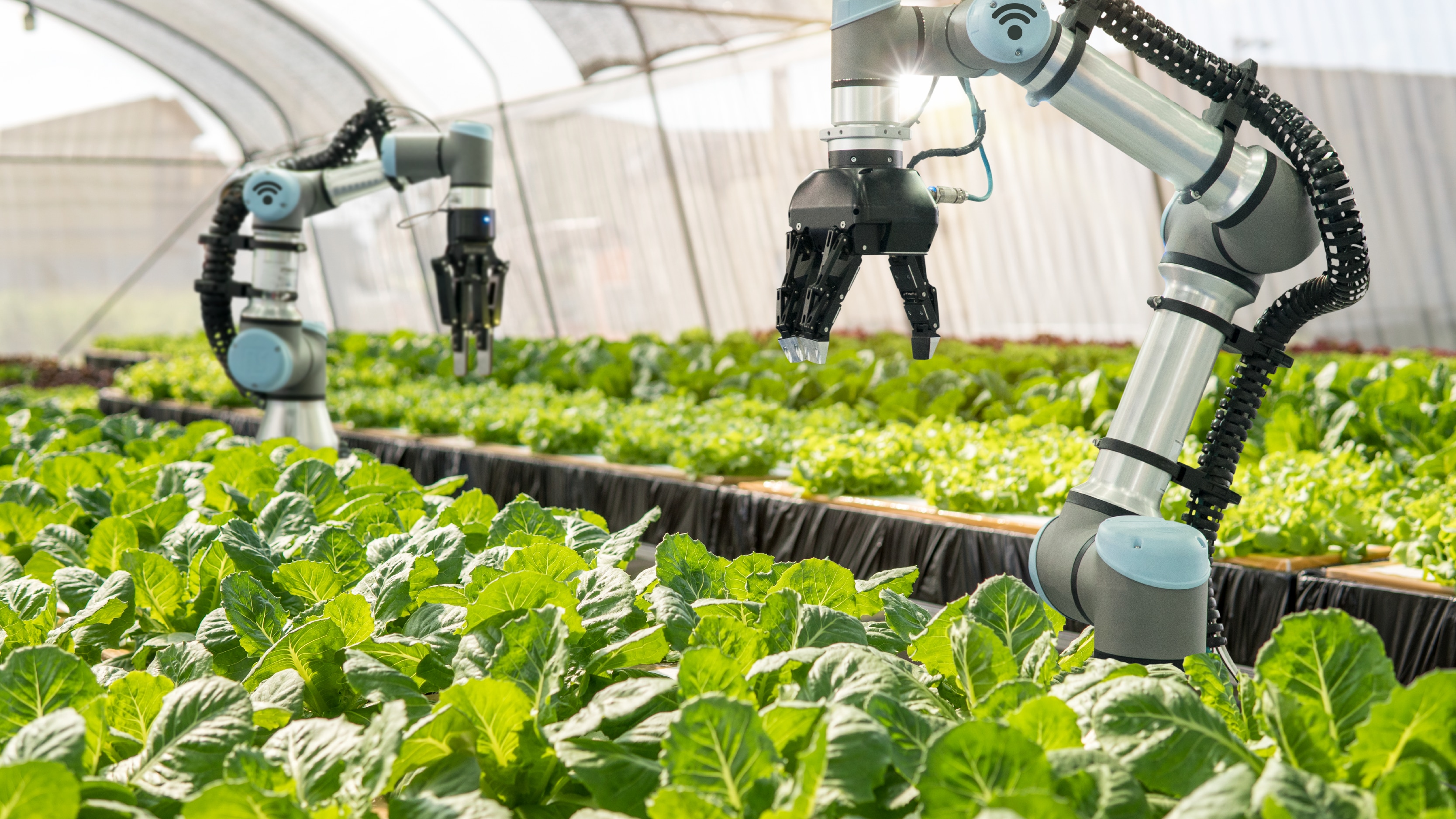 Destaques da Indústria do Agronegócio no Brasil