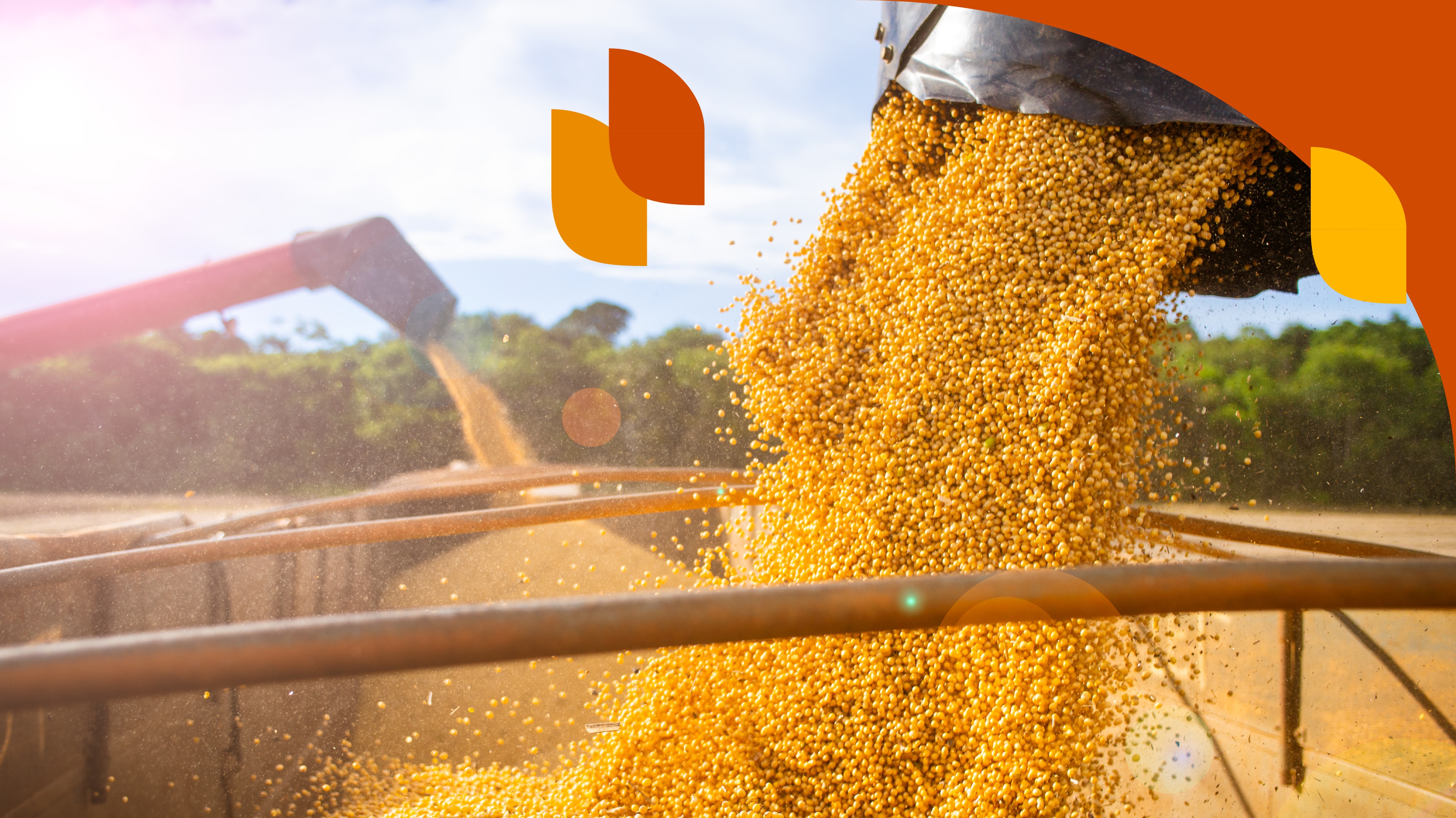 Fatores de mudança na criação, entrega e captura de valor no agronegócio